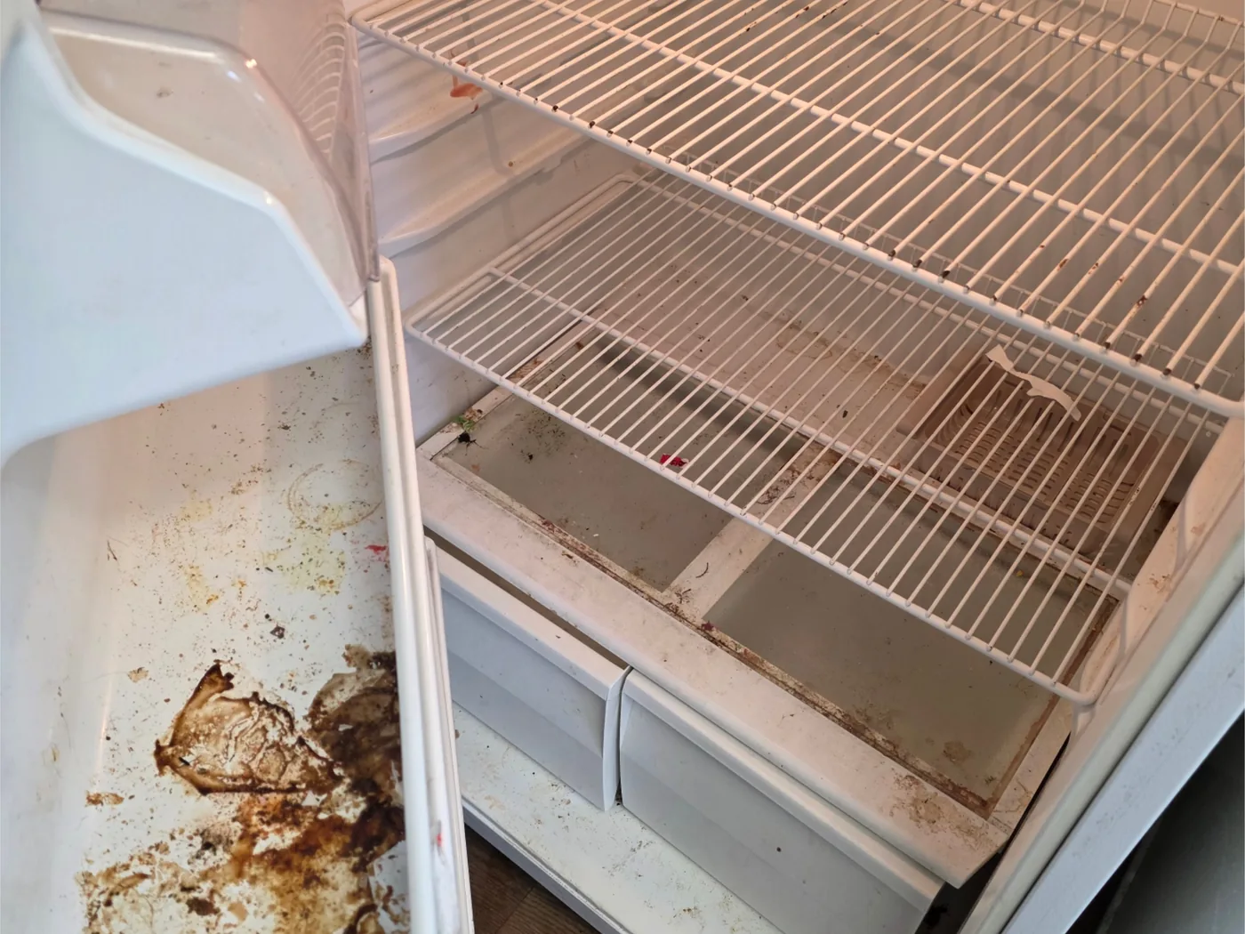 Refrigerator interior before cleaning